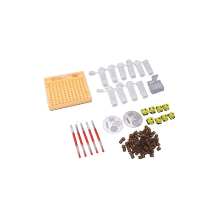 Sistem de crestere a reginelor din plastic