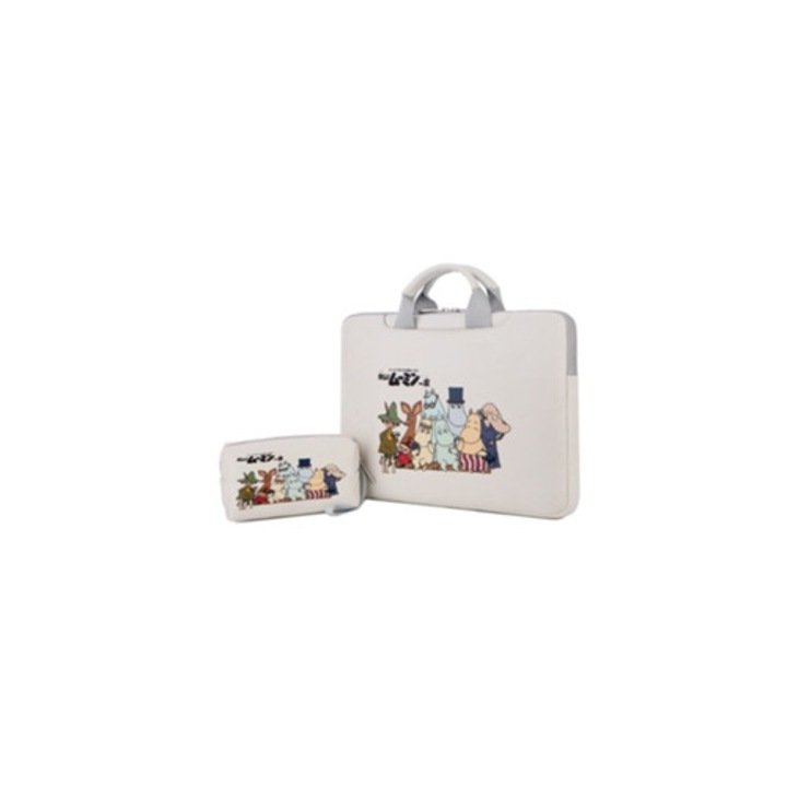 Geanta laptop messenger 13-15.6 inch, set cu interior aplicabil