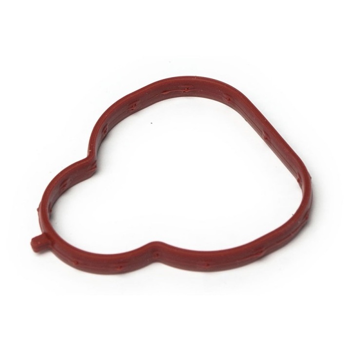 Garnitura Colectorului De Admisie Mazda 3 (1.4 16v 1.6 16v) (Sunt Necesare 4 Bucati) Z6tm13111