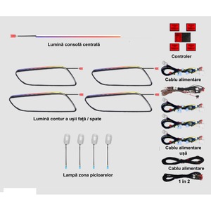 Accesorii electronice auto