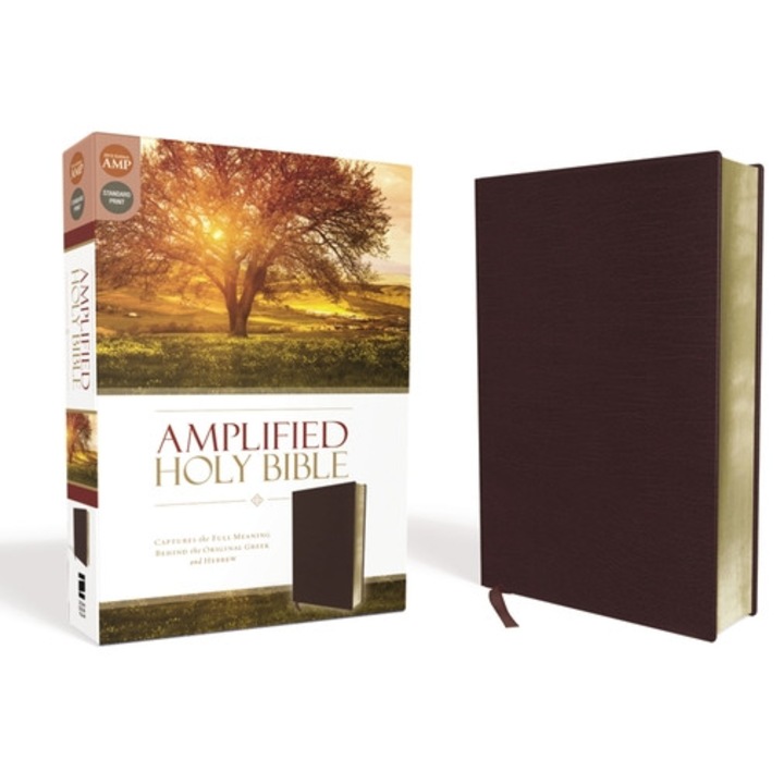 Amplified Bible-am: Captures The Full Meaning Behind The Original Greek And Hebrew - Zondervan