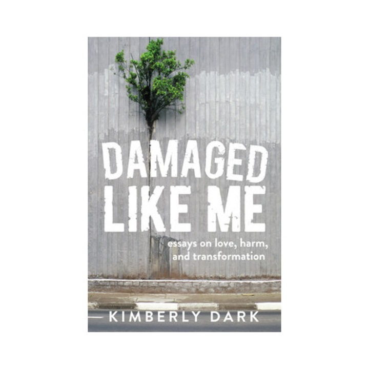 Damaged Like Me: Essays On Love, Harm, And Transformation - Kimberly Dark