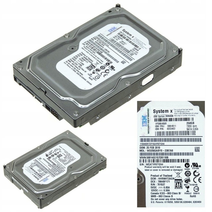 Hard Disk 250GB IBM 39M4511 7200RPM 3,5"