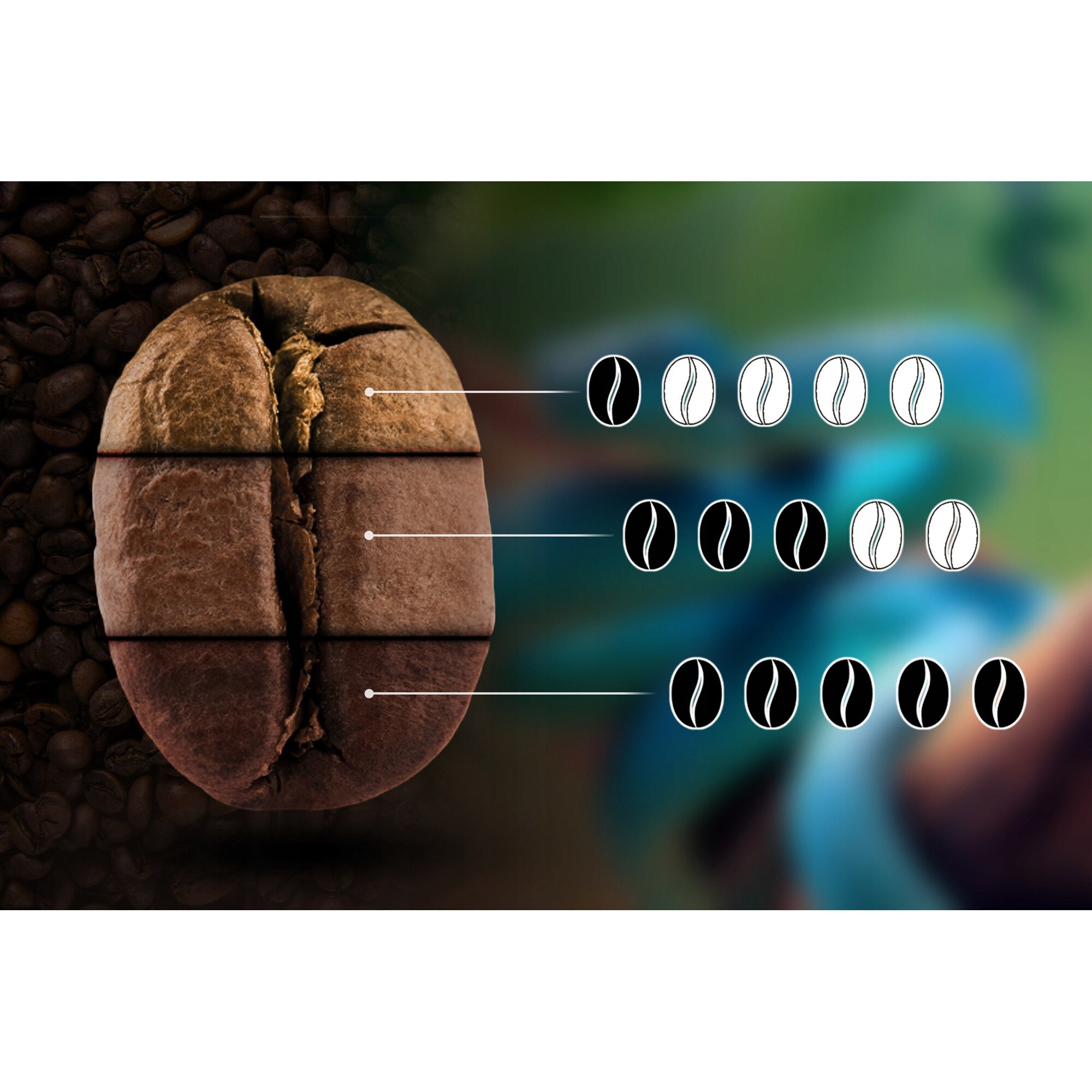 Cafea boabe 100% Arabica Malawi, Eight Cafe, 250g, prajire medie, note ...
