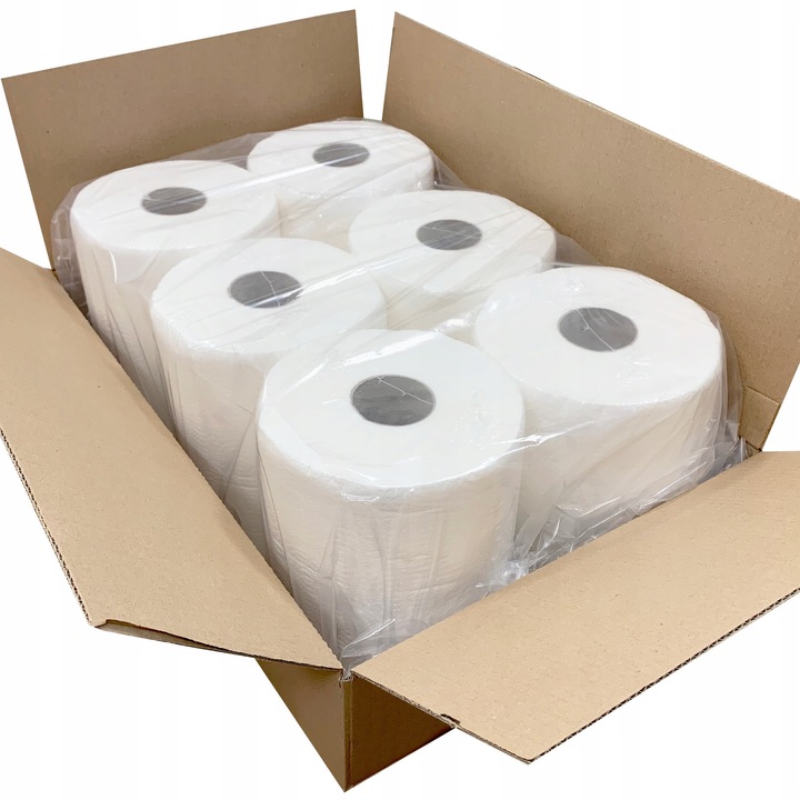 Prosoape de hartie Dailymall, set 6 role, 100m/rola, 24x25cm, alb, 2 straturi