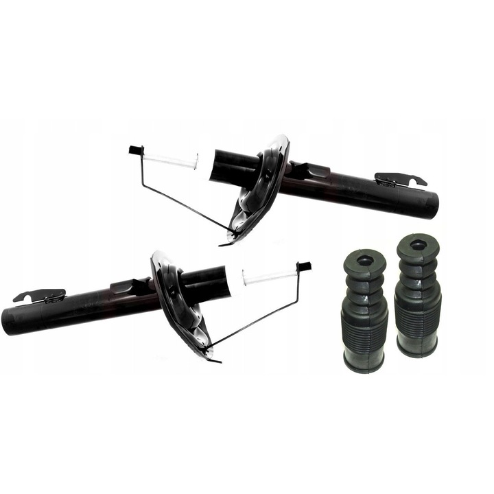 Amortizoare fata MCS pentru Renault Scenic II, set complet, 2004-2008