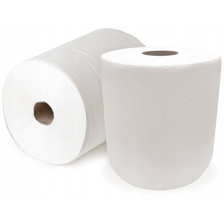 Prosoape de hartie Eurovac, set 6 role, 100m, 2 straturi, alb, 24x19cm