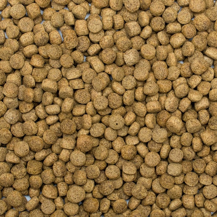 Tropical Koi Silkworm & Astaxanthin, 7kg, храна за риби, размер L, богата на протеини, многоцветен