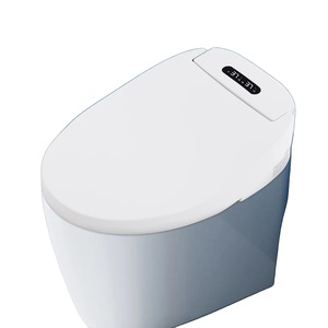 Accesorii vase de toaleta