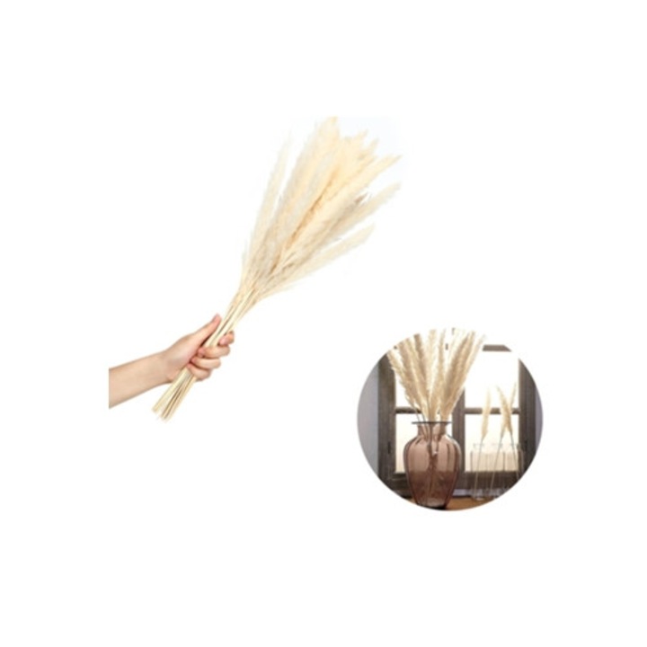Set 15 flori de iarba pampas uscata naturala, 60cm, decor boho, fotografie, nunta, DIY