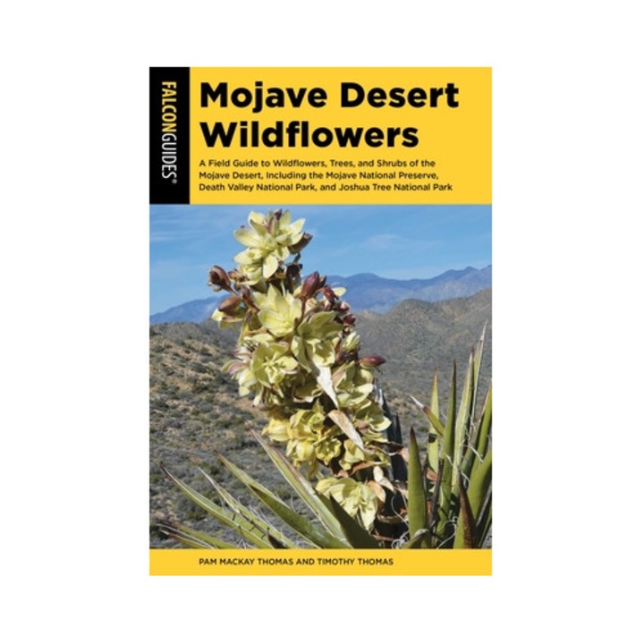 Mojave Desert Wildflowers, Pam Mackay Thomas, 2024