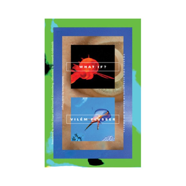 What If?: Twenty-two Scenarios In Search Of Images - Vilém Flusser - Vilm Flusser