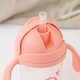 Biberon pentru copii cu manere Kiokids Princess 300ml 6luni+