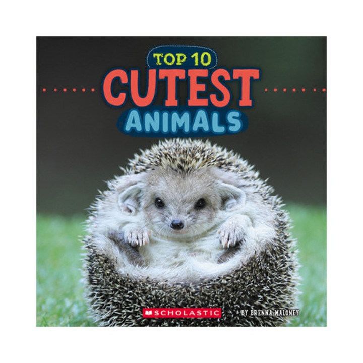 Cutest Animals (wild World: Top 10) - Brenna Maloney