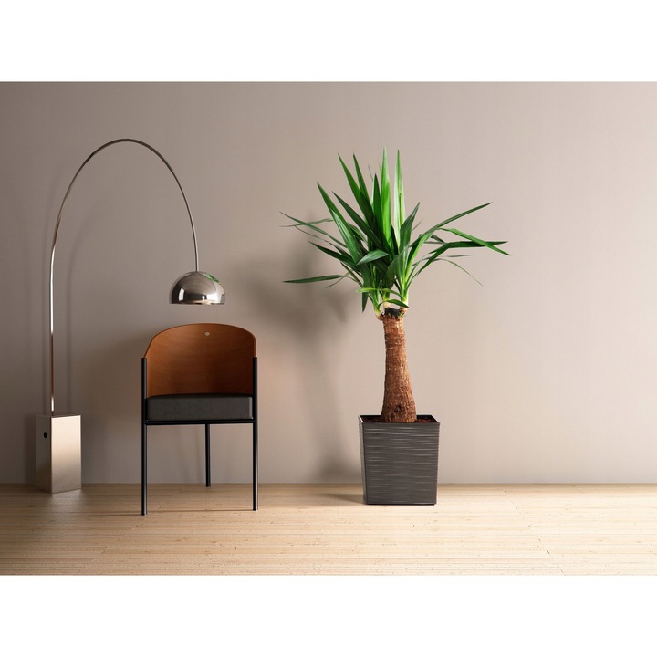 Ghiveci Lamela Juka 30x31cm, grafit dluto, cu incuietora inclusa