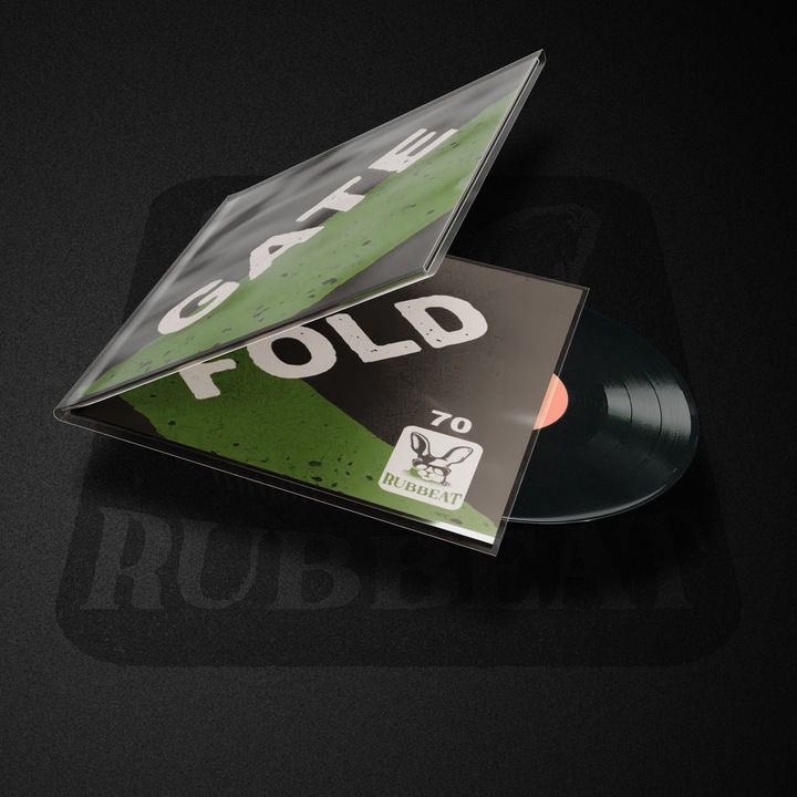 Set 25 file din plastic, GATEFOLD STANDARD