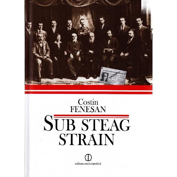 Sub steag strain - Costin Fenesan