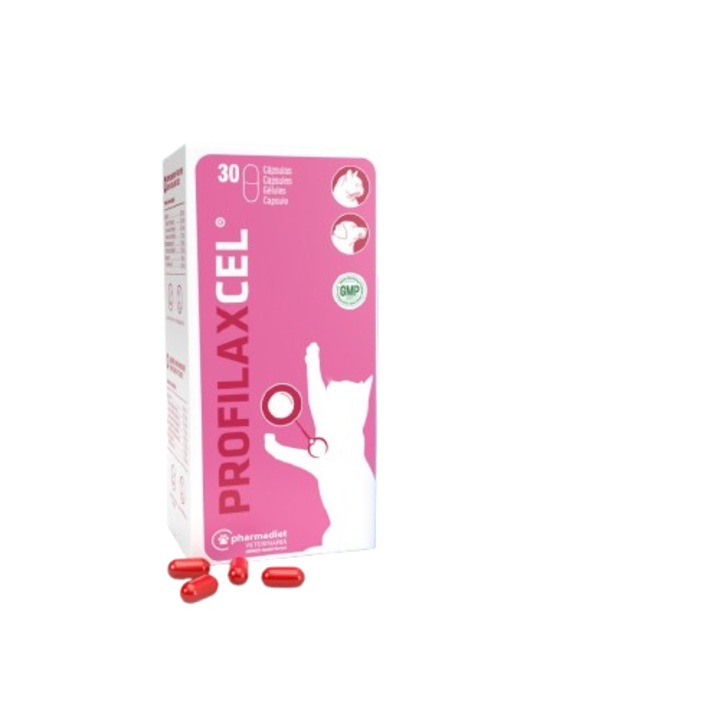Supliment nutritiv pentru sistemul glandular (prostata, glande mamare) la caini si pisici PROFILAXCEL, 30 capsule