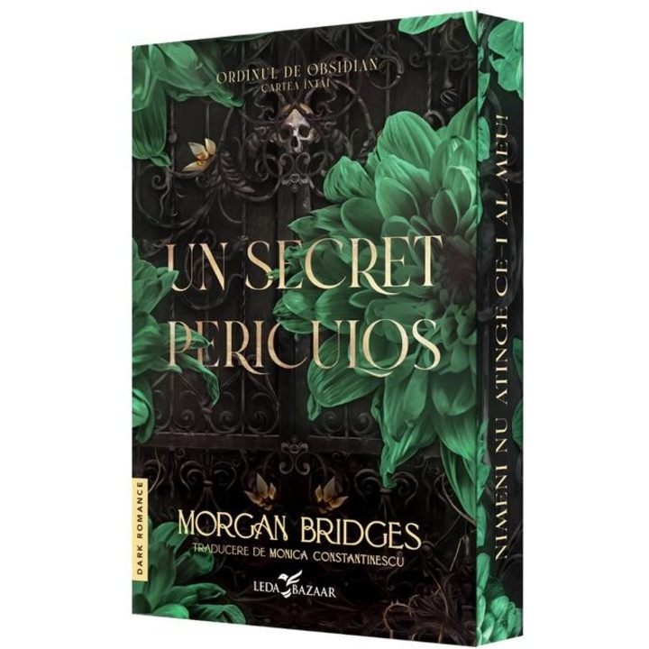 Un secret periculos. Prima carte din seria Ordinul de Obsidian. Editie speciala cu Sprayed Edges, Morgan Bridges