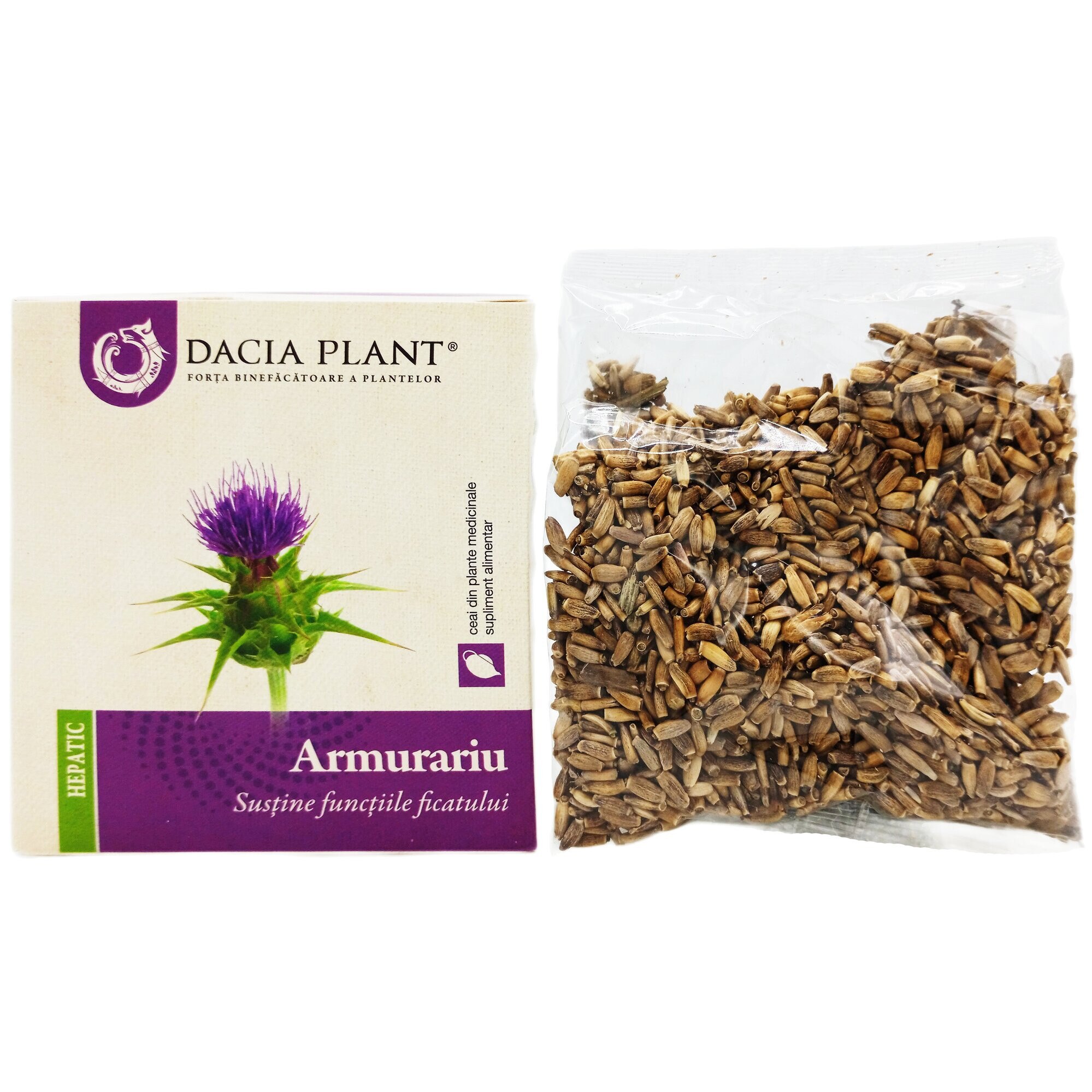 grow your own plant kit Grow a Coffee Plant Seed Kit Arabica