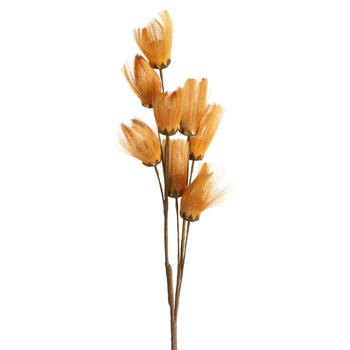 Pioropusz decorativ din iarba pampas, Eurofirany, portocaliu, 80cm