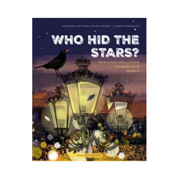 Who Hid The Stars?: How Light Pollution Changes Our World - Valentina Gottardi