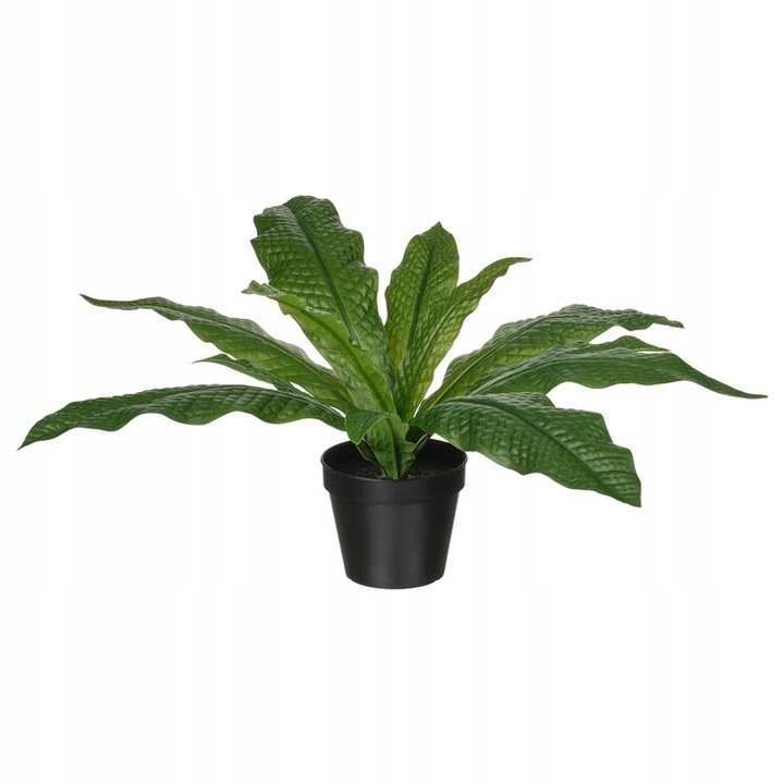 Műnövények, IKEA, FEJKA, 2 darabos készlet, Paproc Microsorum, 12cm, 40cm