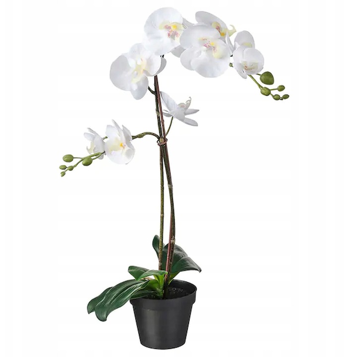 Műnövény, IKEA, FEJKA, fehér orchidea, 58cm, 12cm