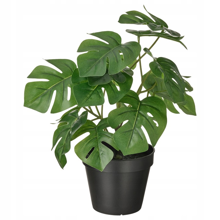 Műnövény Monstera, IKEA, 12cm, 32cm, beltéri/kültéri