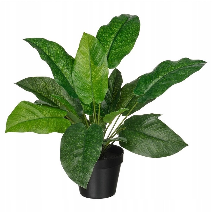 IKEA FEJKA KALATEA műnövény cserépben, 14 cm átmérő, 38 cm magasság, beltéri/kültéri használatra