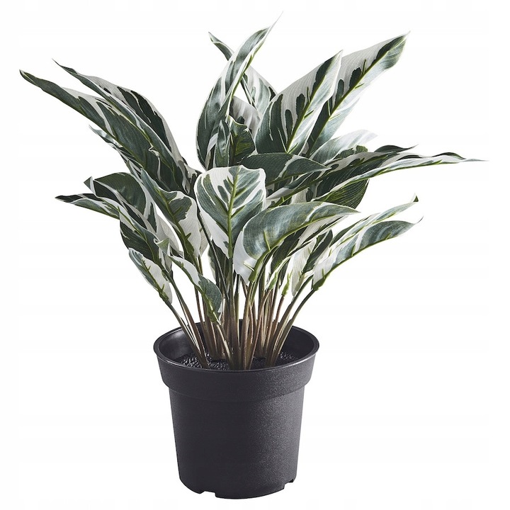 Műnövény, IKEA, FEJKA, Kalatea, 40cm, zöld, szett