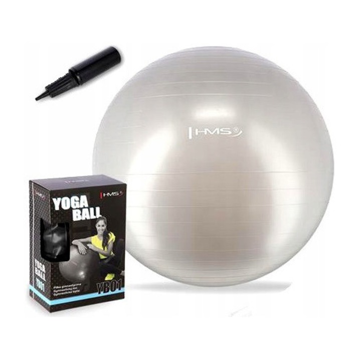 Minge fitness 65cm, HMS, gri, cu pompa, maxim 100kg