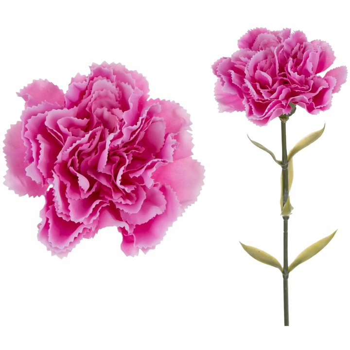 Buchet de flori Agawa, 12 bucati, floare roz, 67cm
