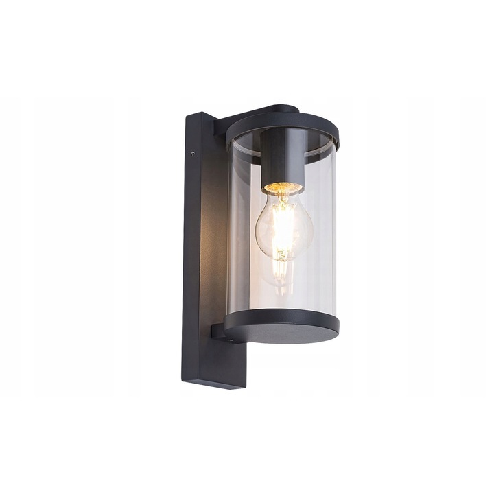 Lampa de perete exterior/aplica Rabalux Silistra 7891, IP44, soclu E27 1x60W, din sticla si metal, antracit/transparent, 290 mm