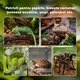 PawHut Terariu pentru Reptile Ridicat cu Incuietoare si Termometru, din Sticla si Plasa Metalica, 50x30x25 cm, Negru