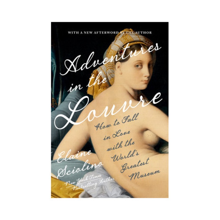 Adventures In The Louvre: How To Fall In Love With The World's Greatest Museum - Elaine Sciolino