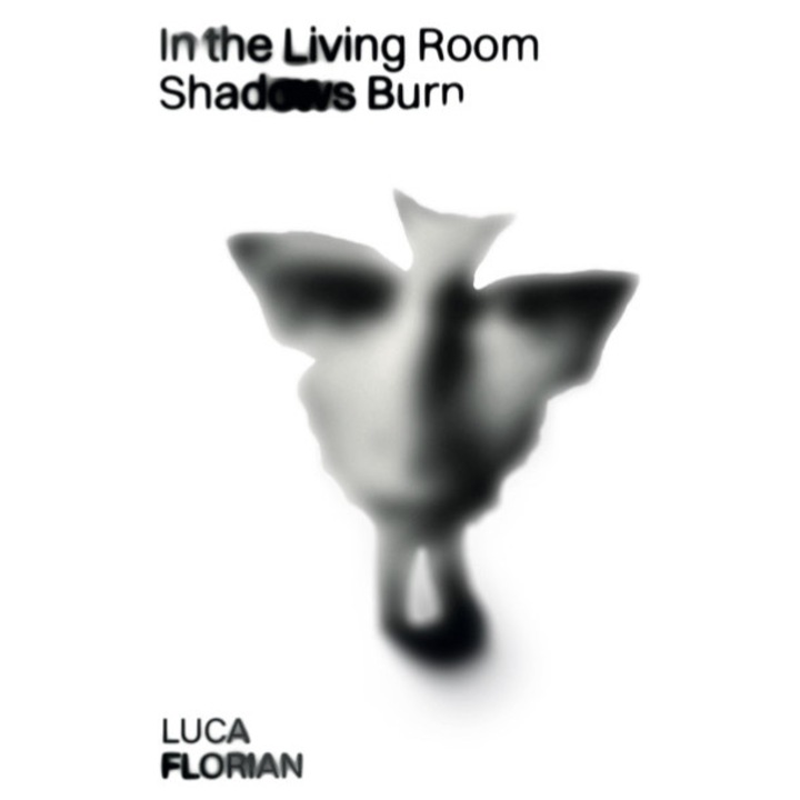 In the living room shadows burn - Luca Florian