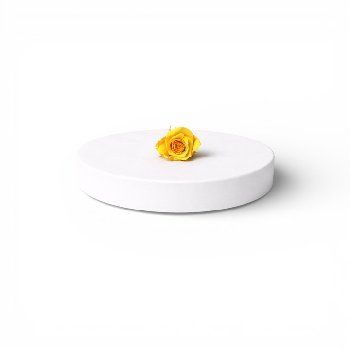 Trandafir criogenat marime XS – floare decorativa naturala