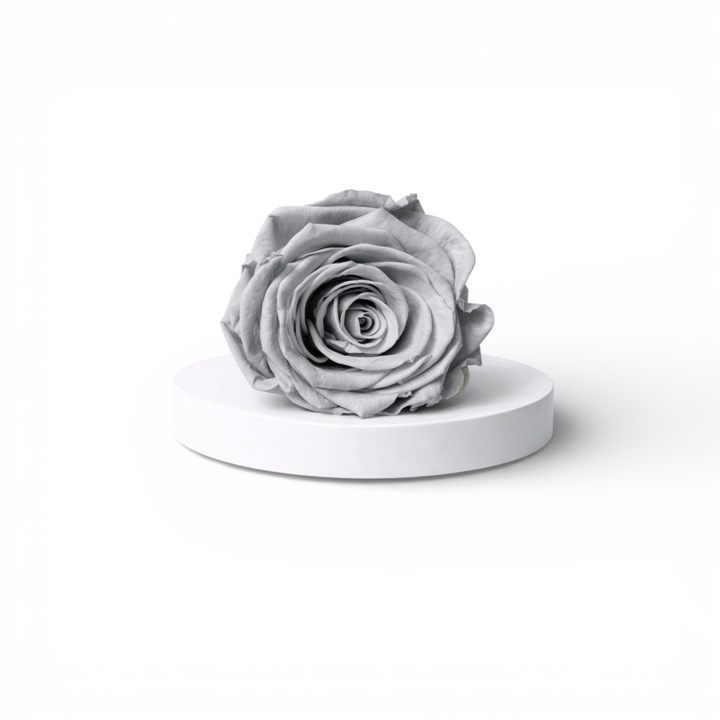 Trandafir criogenat marime XL – floare decorativa naturala