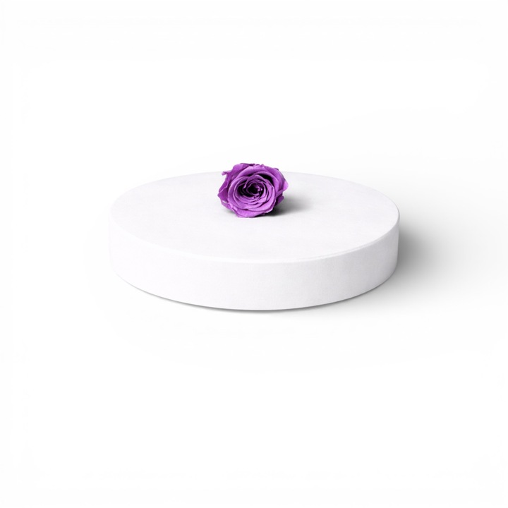 Trandafir criogenat marime XS – floare decorativa naturala