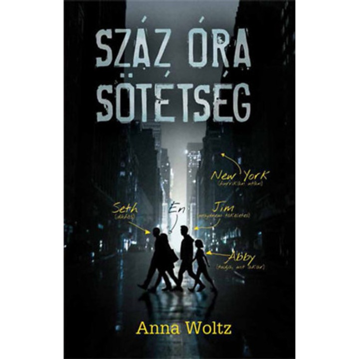 Száz óra sötétség - Anna Woltz