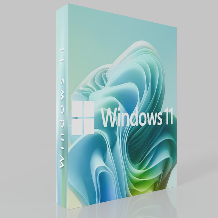 Microsoft® Windows 11 Pro, 64-bit, USB, am Limba Romana