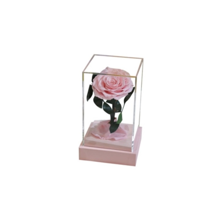 Trandafir Etern in Acrilic Transparent, Aranjament Floral