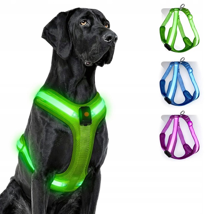 Ham pentru caini, LED, verde, marimea L, set, incarcare USB