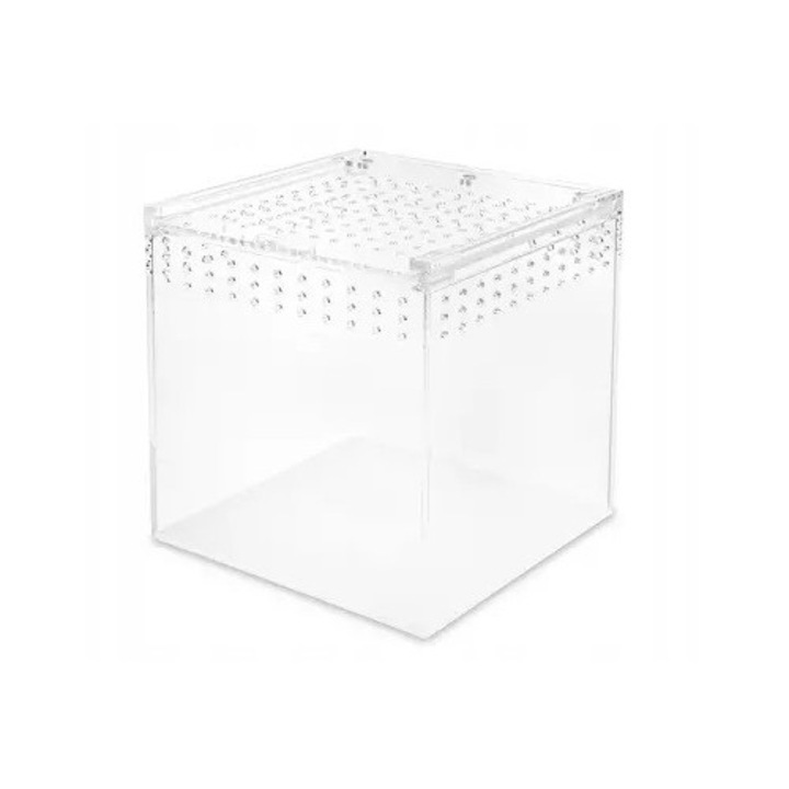 Terrarium acrilic 30x20x15cm cu sistem de inchidere magnetic pentru insecte si reptile