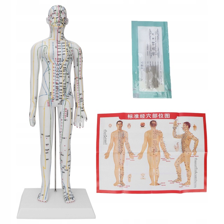 Model Akupunktura 53 cm, alb, set cu 10 ace de acupunctura