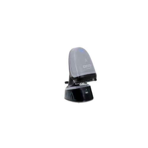 Fier de calcat vertical portabil, 1100 W, capacitate apa 350 ml, design compact, mana pliabila