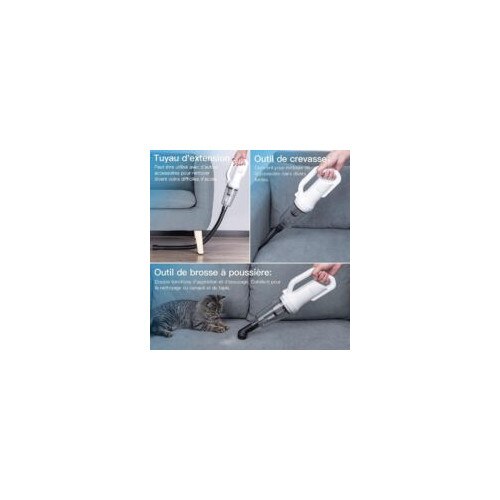Aspirator portabil fara fir 9000Pa, filtru din otel inoxidabil, 640g, pentru acasa si masina