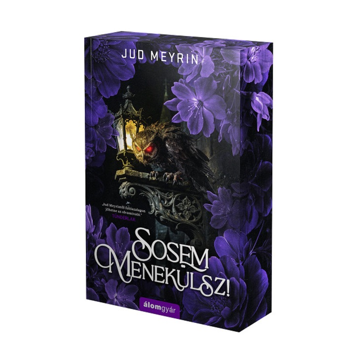 Jud Meyrin: Sosem menekülsz - Éldekorált kiadás