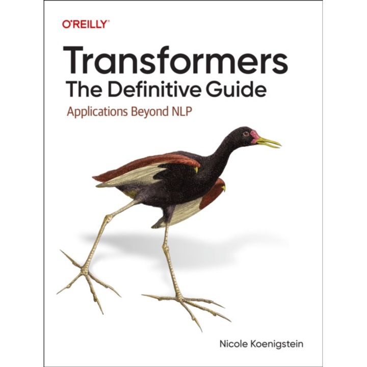 Transformers: The Definitive Guide: Applications Beyond Nlp - Nicole Koenigstein